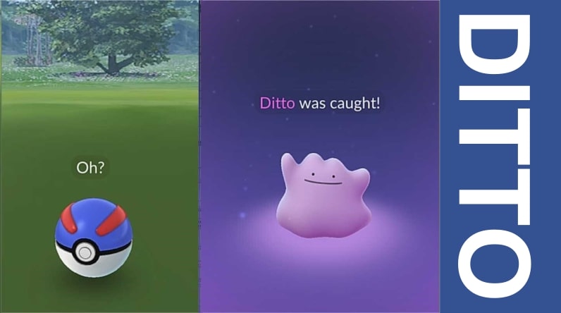 Como Conseguir Ditto no Pokémon GO (2023)